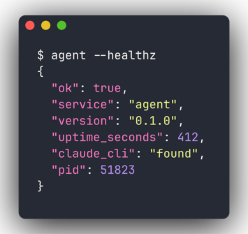 Output of agent --healthz returning a JSON status of ok.
